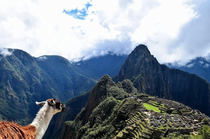 Visit Machupicchu citadel with the official entrance ticket