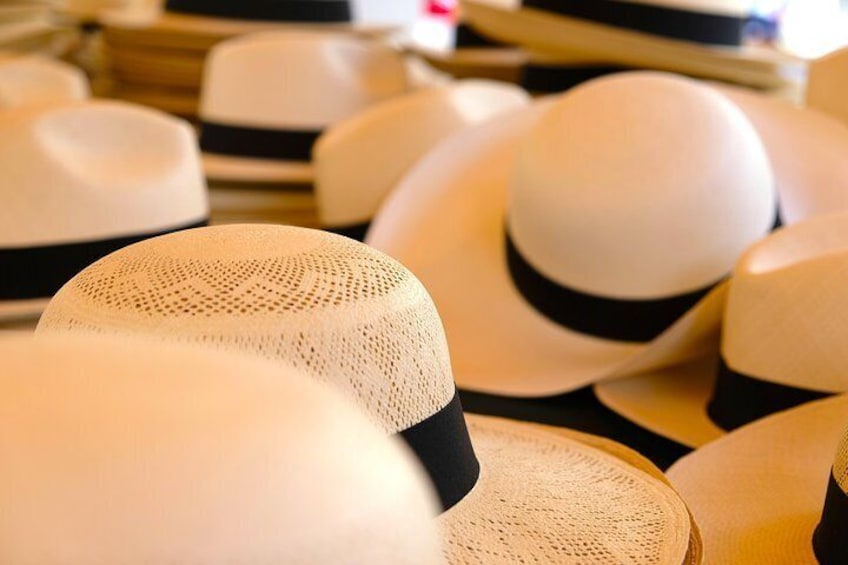 Real Montecristi hats