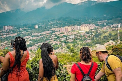 Kaffee-Halbtagestour in Medellín: Vom Samen bis zur Tasse