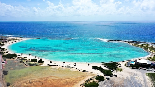 Safari hors route à Baby Beach avec plongée en apnée et déjeuner