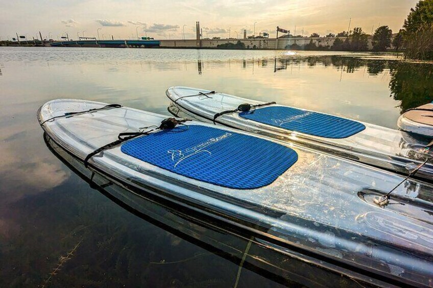 Our clear paddleboards give a beautiful view of the clear water below you on Lake Ivanhoe, right in the heart of downtown Orlando.