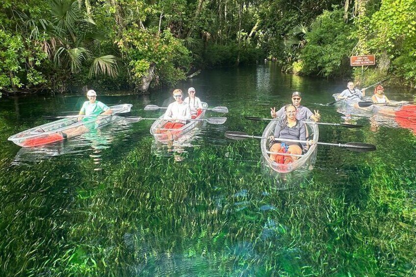 All members of the family will enjoy viewing gators on the Silver River!