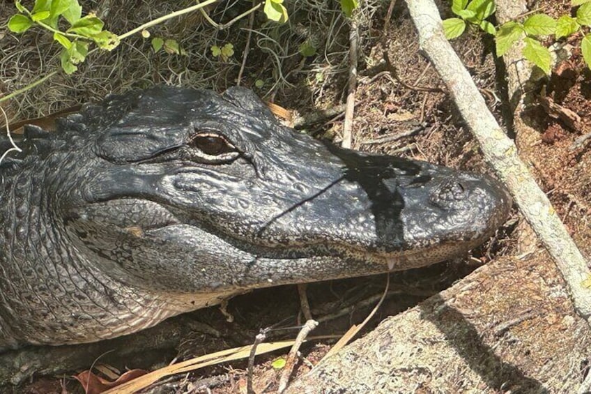 Look at that smile!