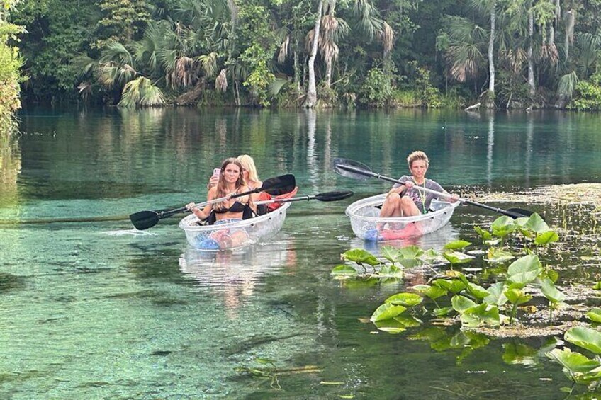The water is so beautiful at Silver Springs.