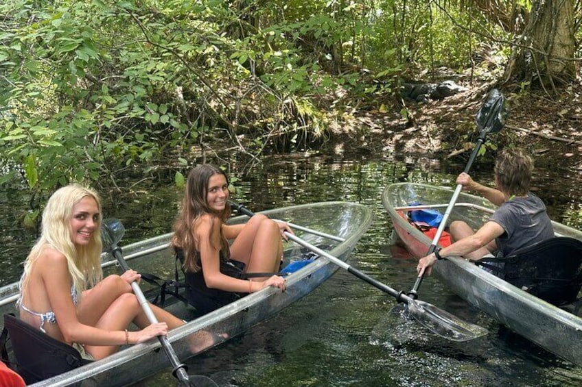 View Gators in their natural habitat with a friendly, knowledgeable guide