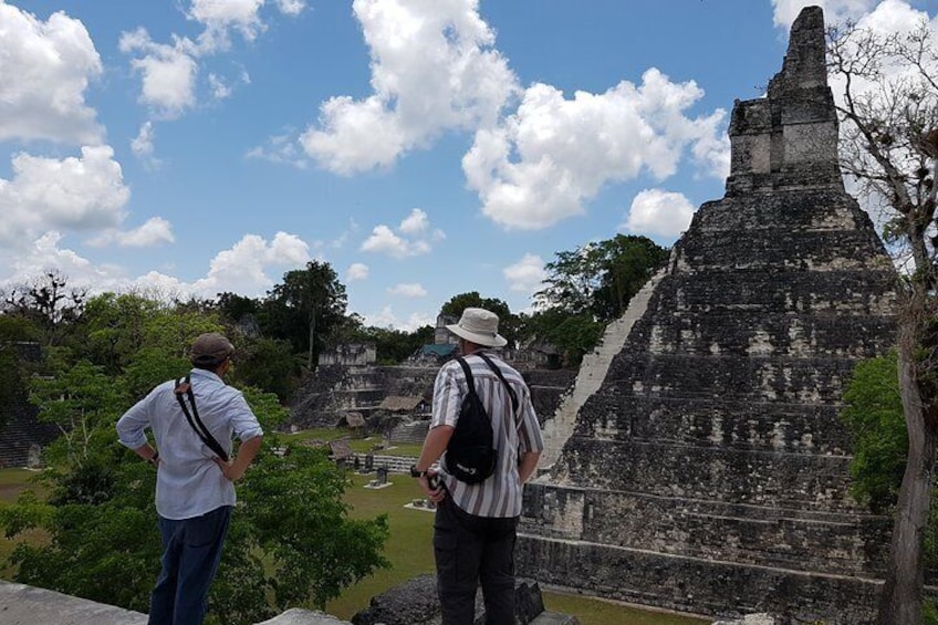 Guatemala Birding Tour at Tikal and Uaxactún National Park