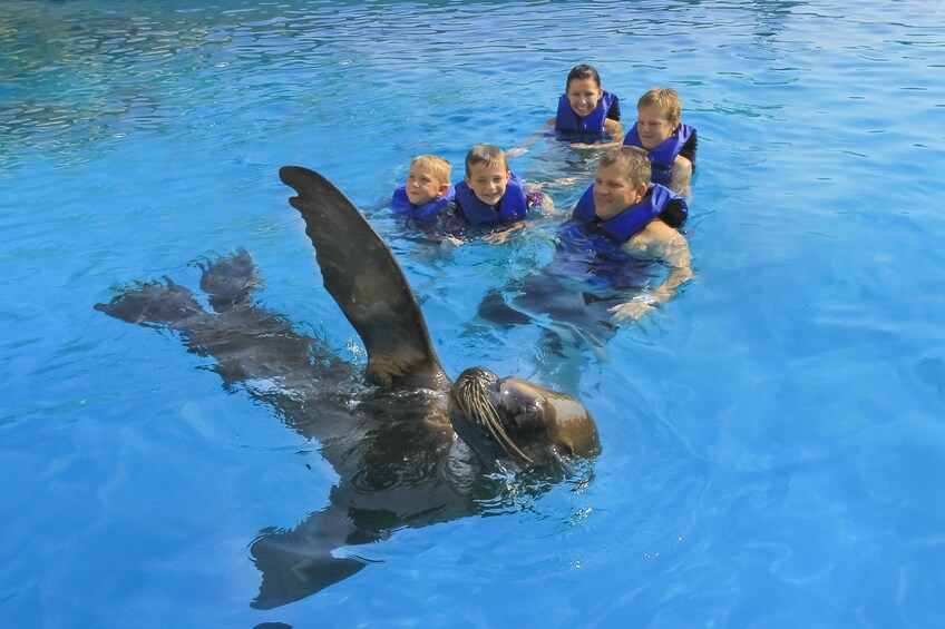 Small-Group Sea Lion Adventure
