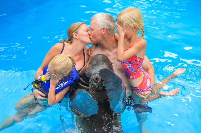 Small-Group Sea Lion Adventure