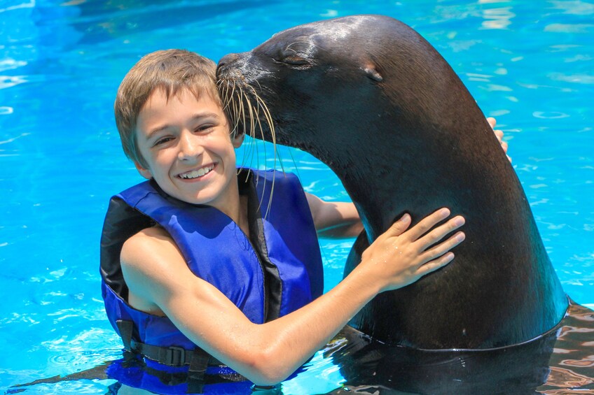 Small-Group Sea Lion Adventure