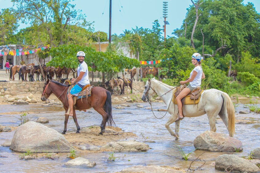Guided Sea Safari & Horseback Ride