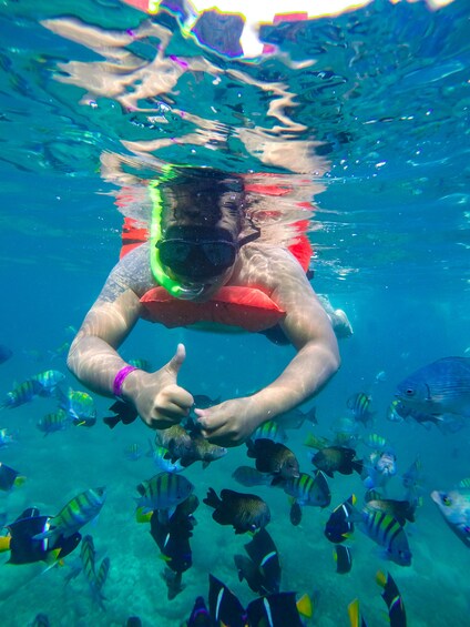 Guided Sea Safari & Horseback Ride