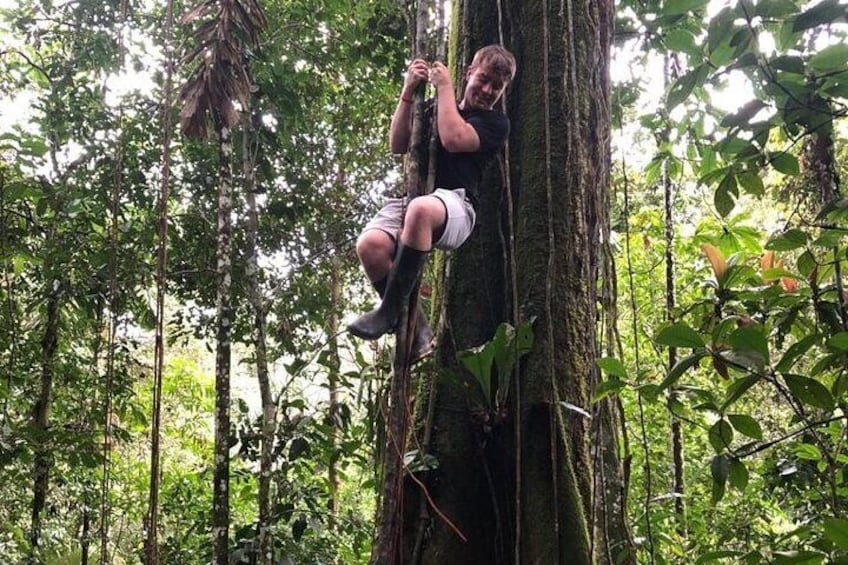 Amazon Rain Forest with Baños City