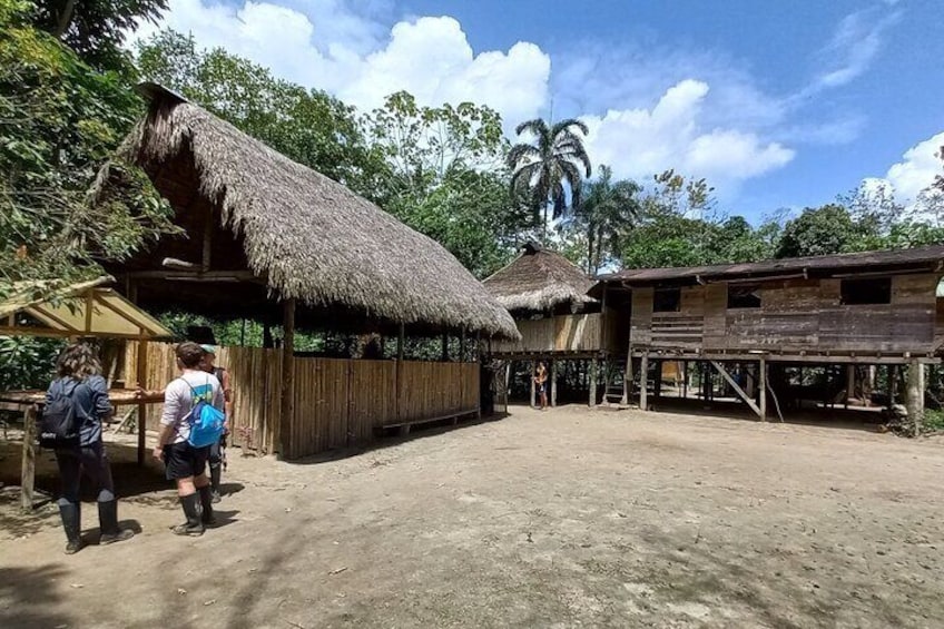 Amazon Rain Forest with Baños City
