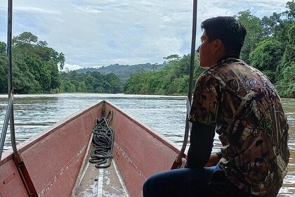4-day Amazon Jungle and Baños City