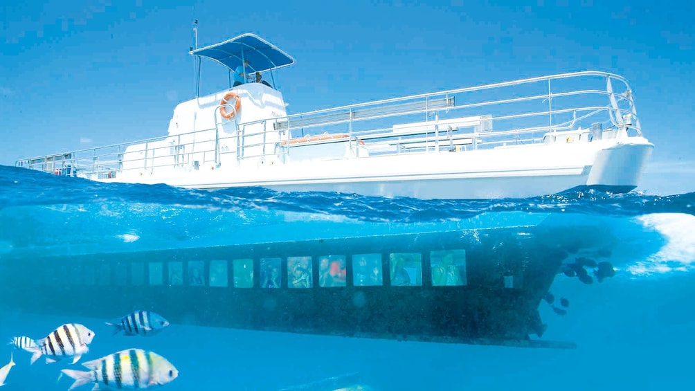 complete view of cruise boat with undersea windows