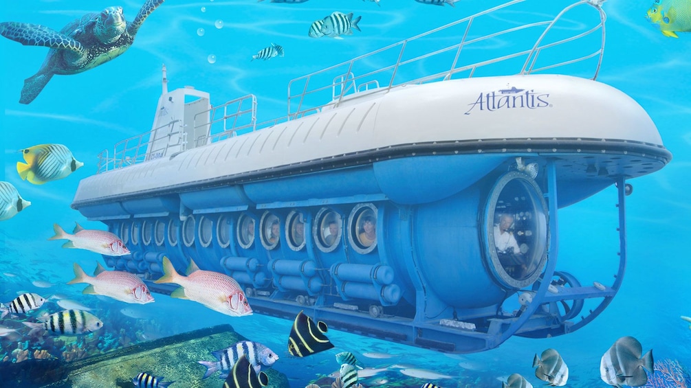 Submarine with fish in Aruba