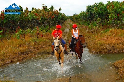 Horseback riding and Shuar community near Guayaquil private trip