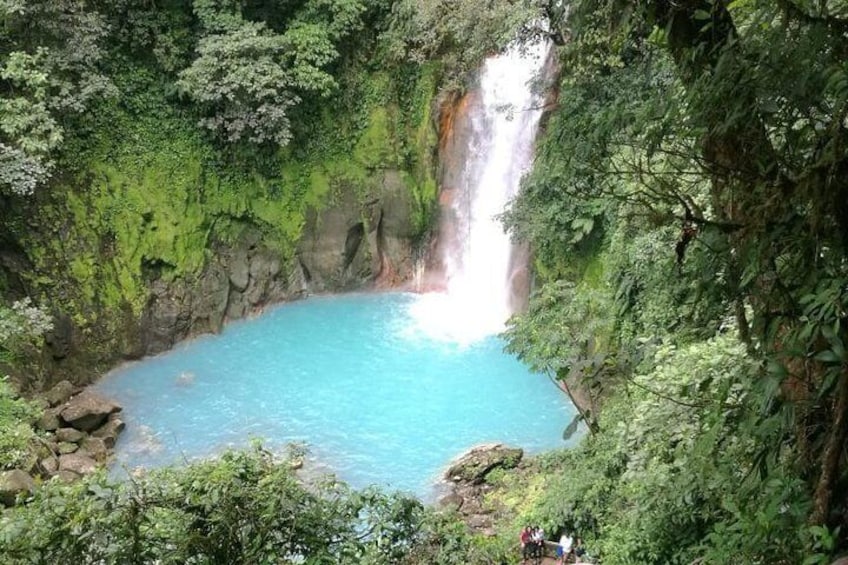Private Sloth Adventure and Hiking Rio Celeste Waterfall