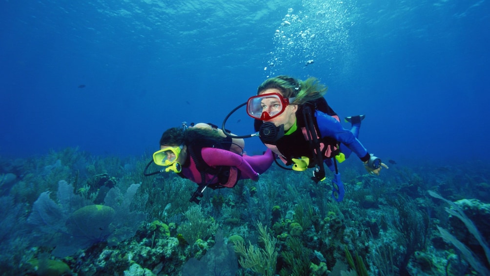 Pair of scuba divers near sea floor