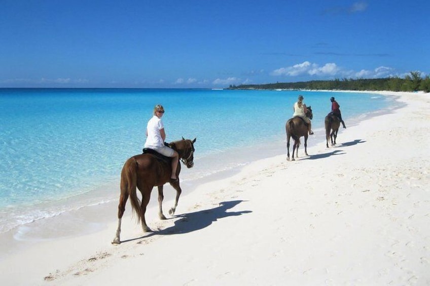 Puerto Plata horseback riding