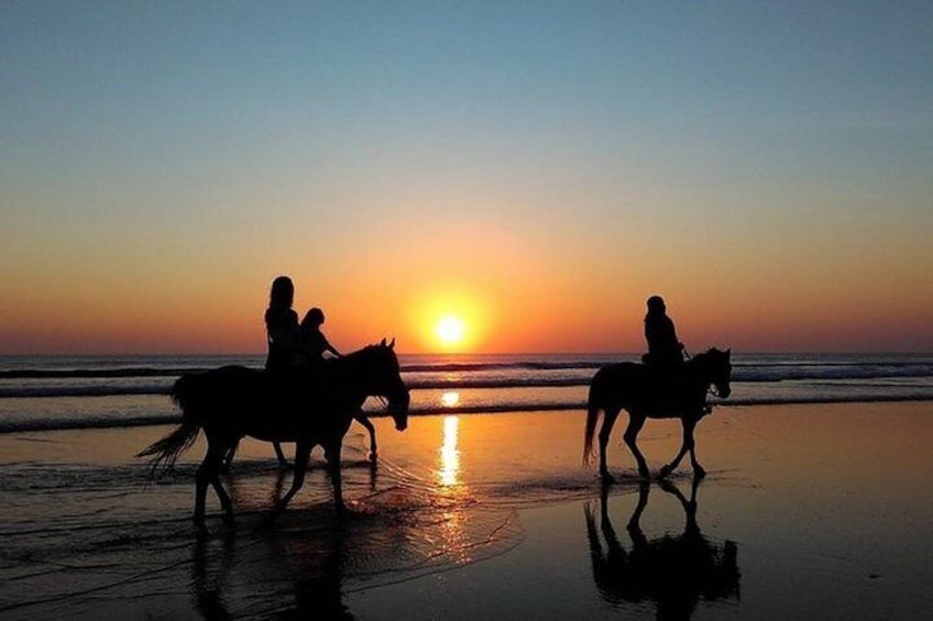 Sunset Beach Horseback Riding