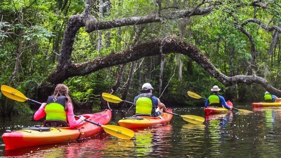 Amelia Island Guided Kayak Tour of Lofton Creek
