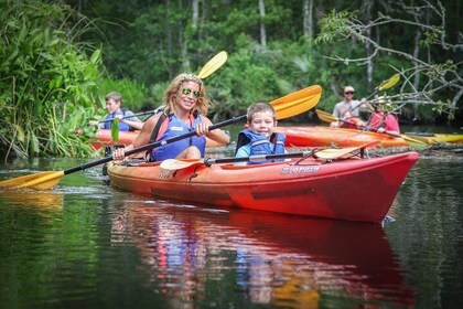 Amelia Island Guided Kayak Tour of Lofton Creek