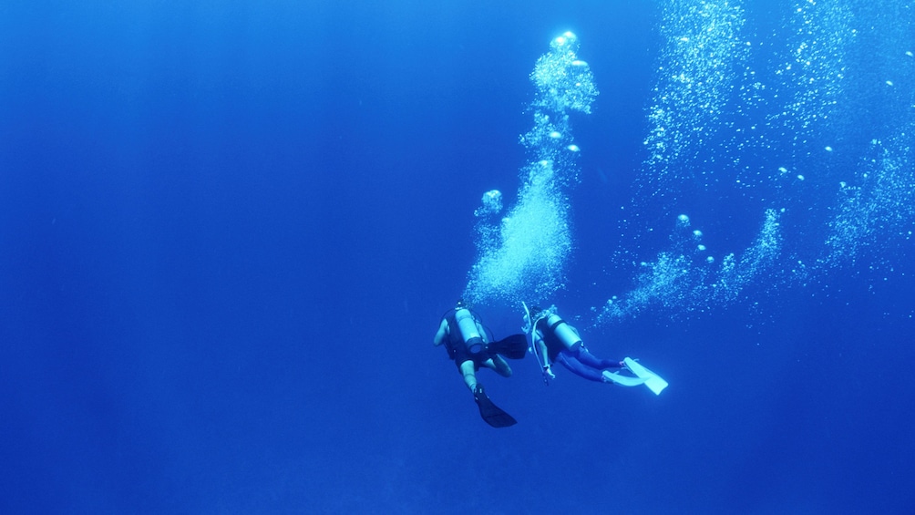 Pair of scuba divers in open water