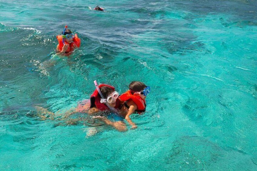 Snorkeling at Cades Reef