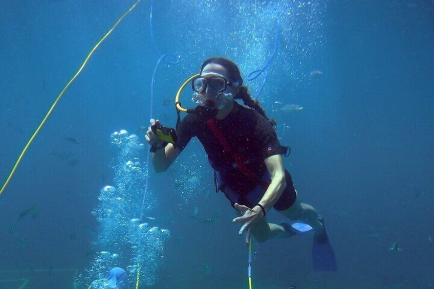 Exploring the world under water