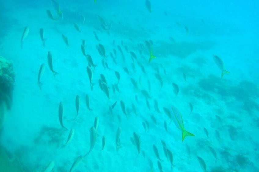 Adventure SNUBA in St. Maarten