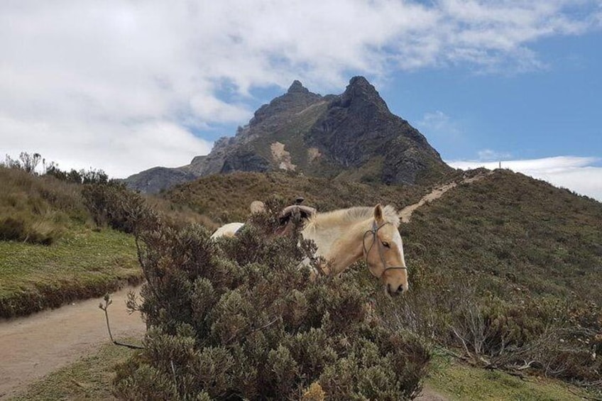 Hiking Pichincha and The Teleferico