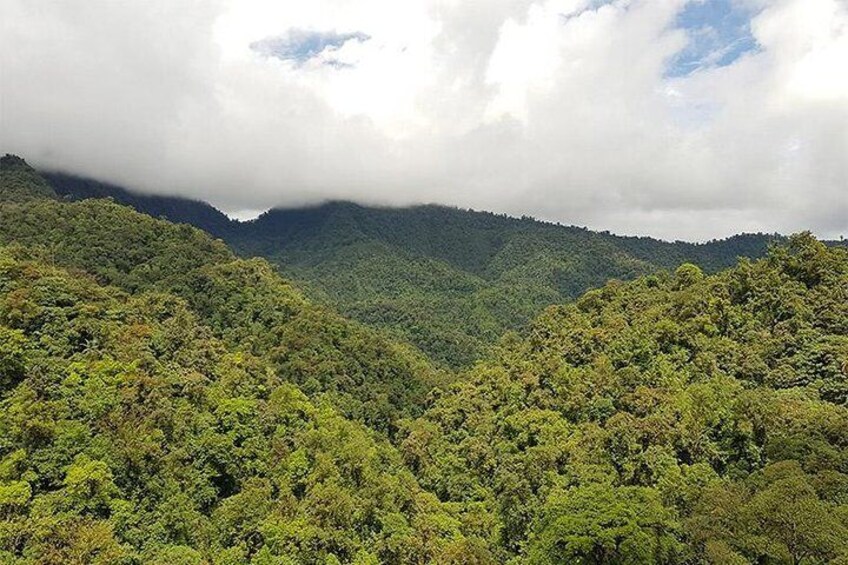 That`s how we call that area in that way, Mindo Cloud Forest, is magic and beautiful scenery!