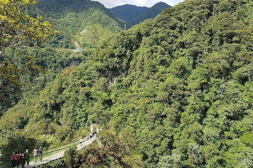 trail to the Pailon del diablo waterfall.