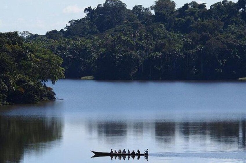 Tambopata Jungle Adventure Tour 4 Days