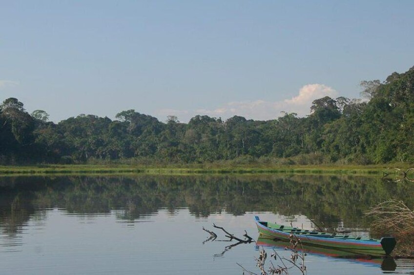 Tambopata Jungle Adventure Tour 4 Days