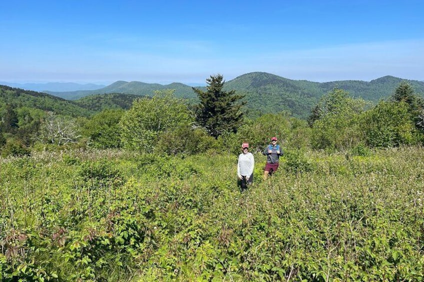 Blue Ridge Mountains Guided Hiking Tour with Local Guide - small groups!!