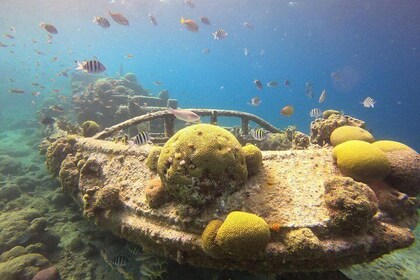 Excursion de plongée avec tuba à Curaçao