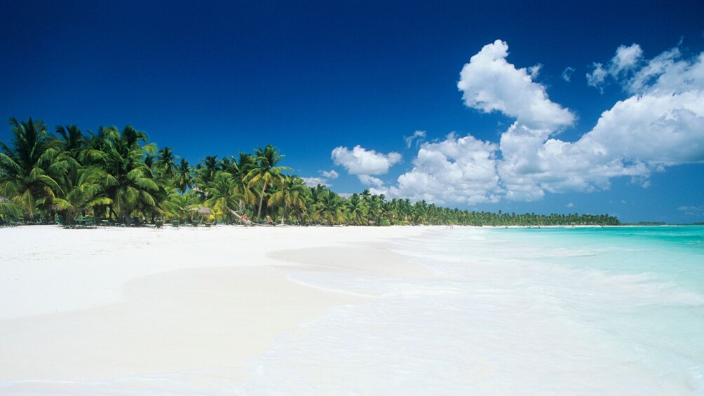 sandy beach in bahamas