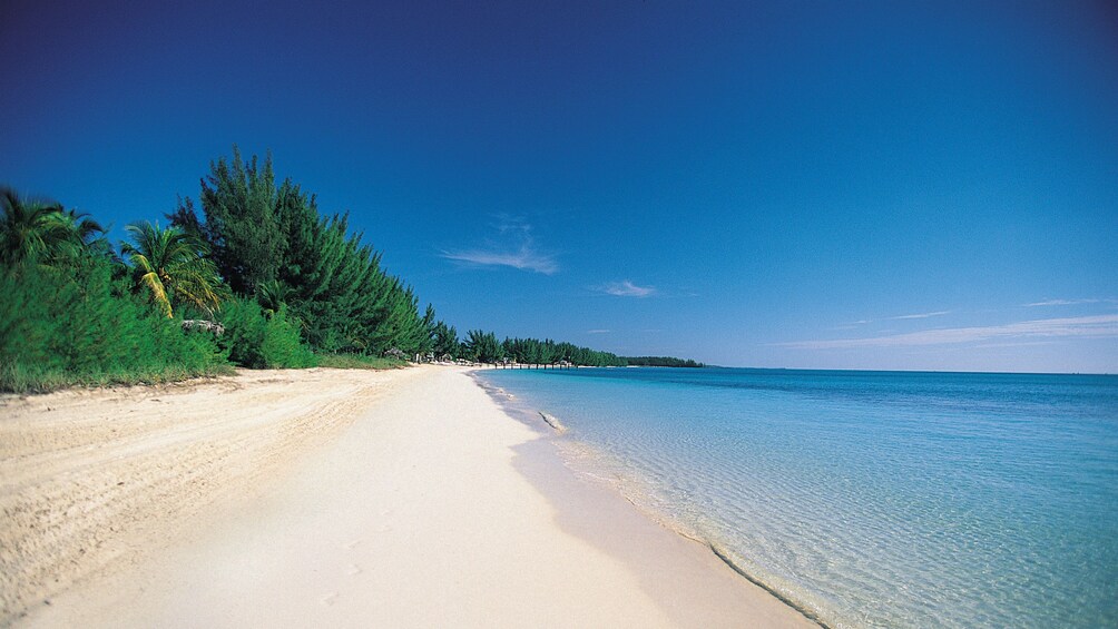 Sandy beach in bahamas