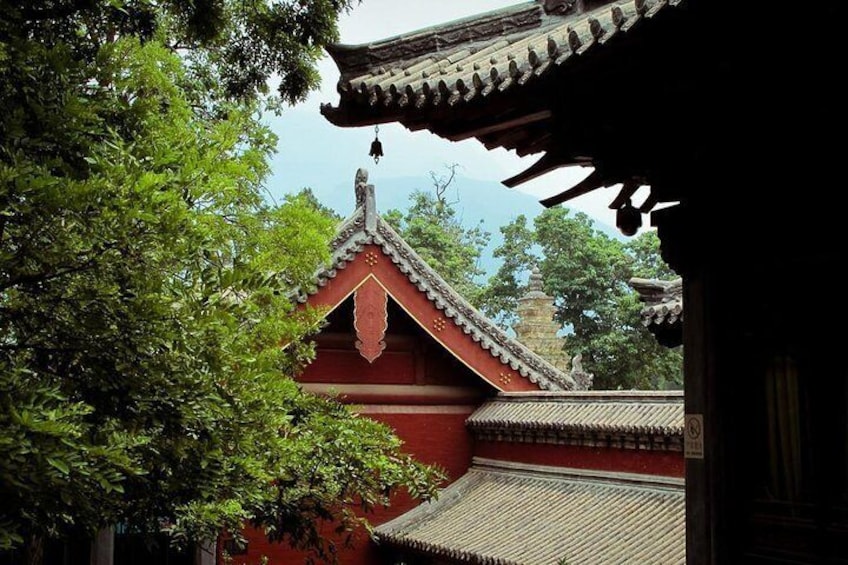 Shaolin Temple 