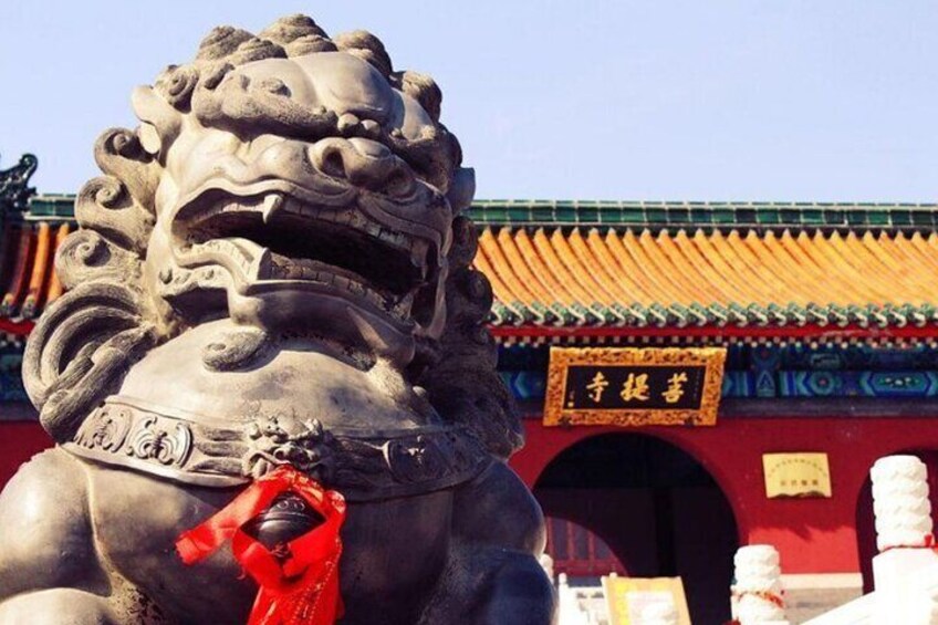 Xi'an Private Tour to Luoyang Longmen Grottoes & Shaolin Temple