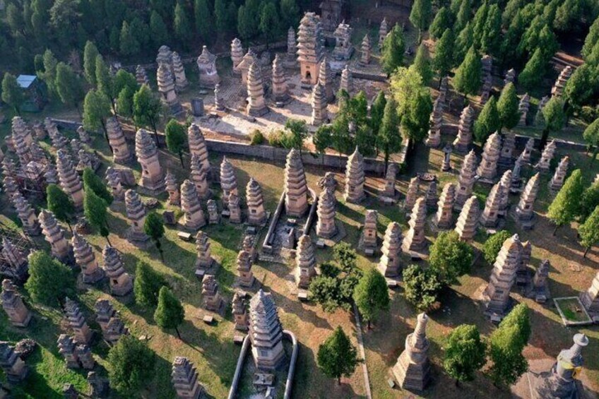 Xi'an Private Tour to Luoyang Longmen Grottoes & Shaolin Temple