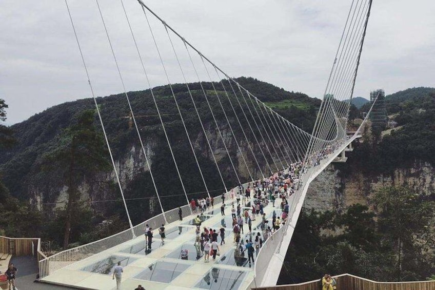 Glass Bridge Zhangjiajie National Park