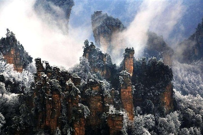 2-Day Private Trip to Zhangjiajie National Park from Xi’an with Accommodati...