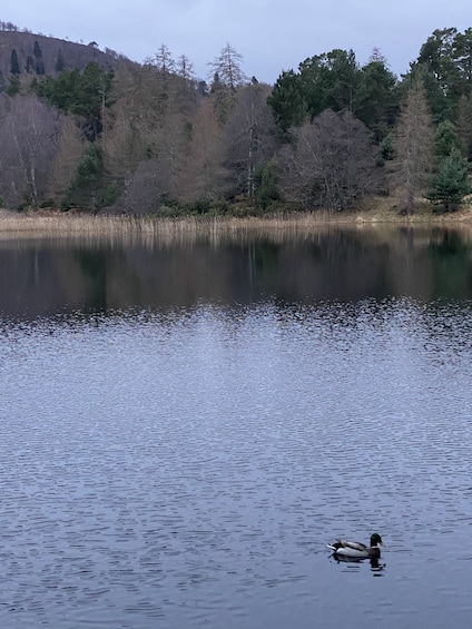 Cairngorm National Park