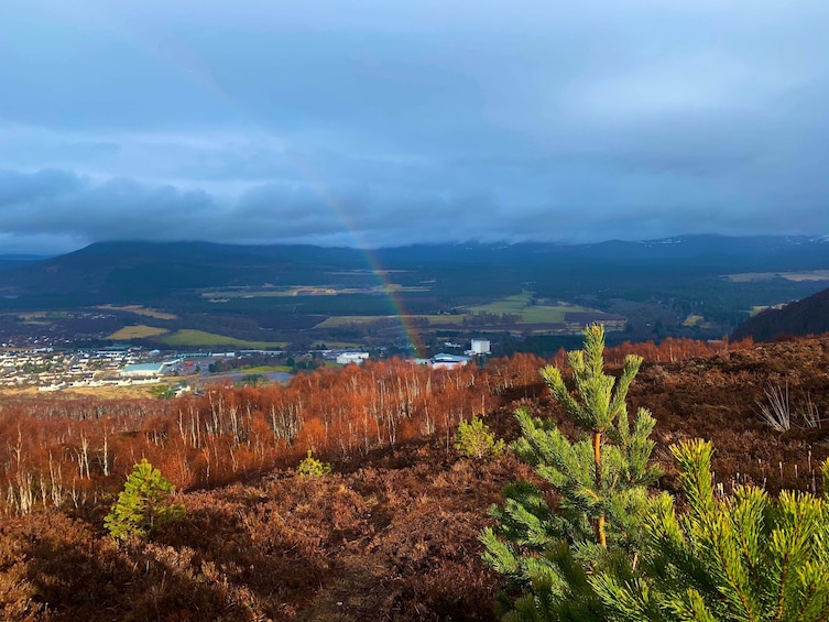 Cairngorm National Park