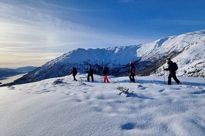 Snowshoe hiking Bergen Public - Norway Mountain Guides