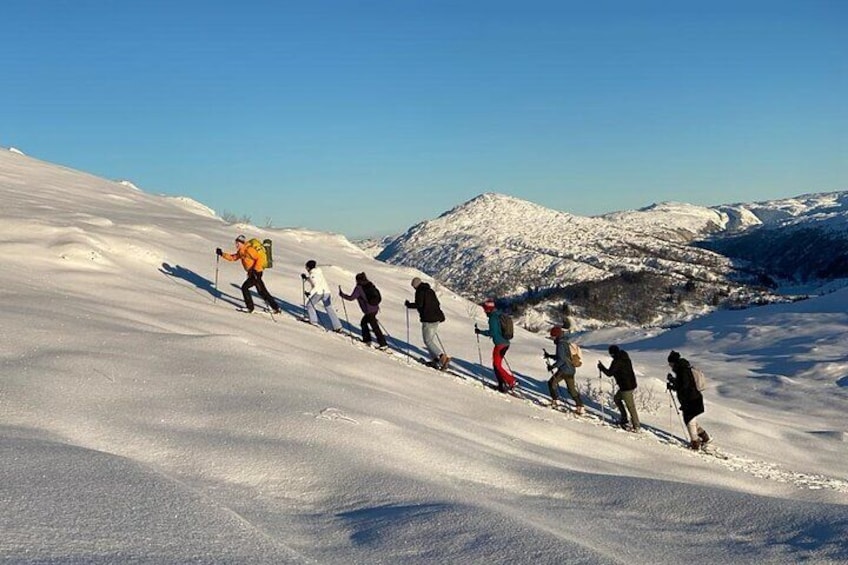 Snowshoe hiking Bergen - Norway Mountain Guides