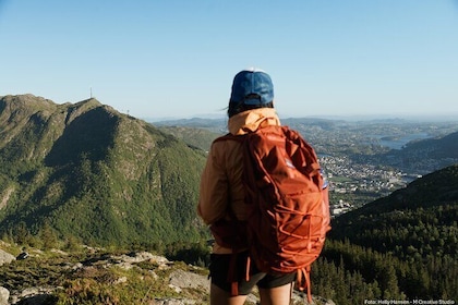 On Top of Bergen - Public Tour